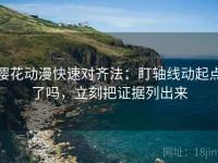 樱花动漫快速对齐法：盯轴线动起点了吗，立刻把证据列出来