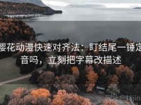 樱花动漫快速对齐法：盯结尾一锤定音吗，立刻把字幕改描述