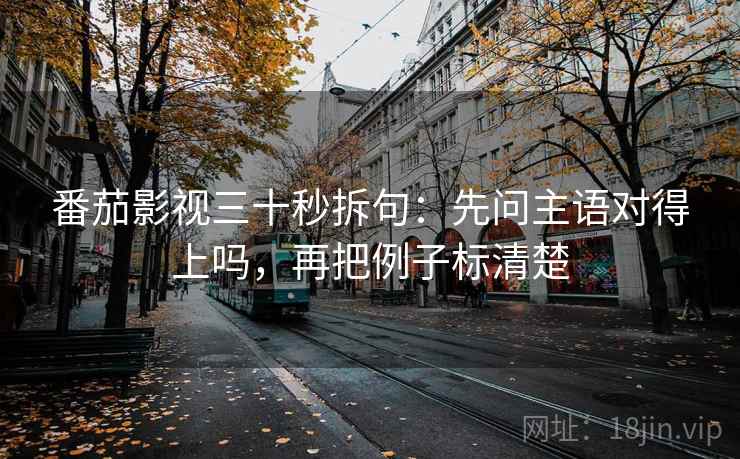 番茄影视三十秒拆句：先问主语对得上吗，再把例子标清楚