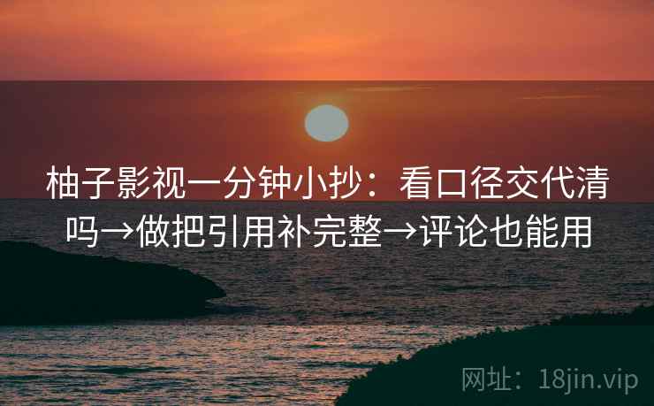 柚子影视一分钟小抄：看口径交代清吗→做把引用补完整→评论也能用